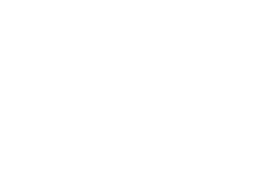 partner image